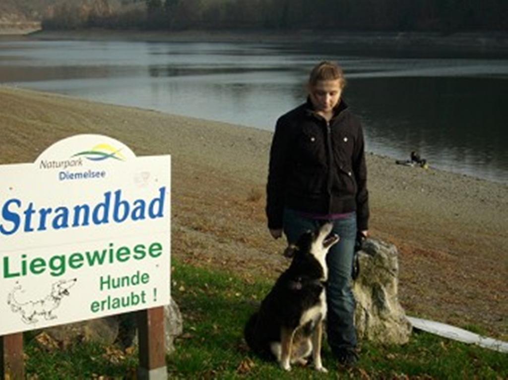 Apartment Am Hemberg Bontkirchen Zewnętrze zdjęcie
